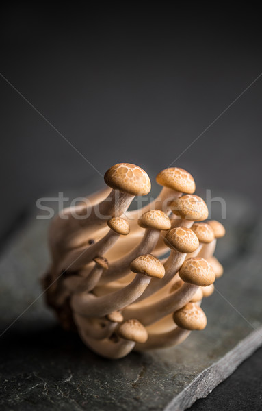 Vers voedsel gezondheid champignon cap Stockfoto © grafvision