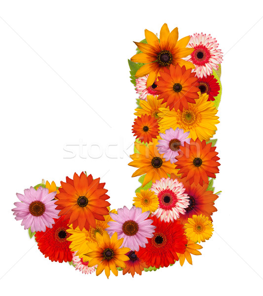 Flower letter Stock photo © grafvision