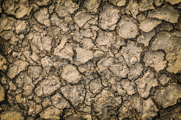 Cracked dry ground Stock photo © grafvision