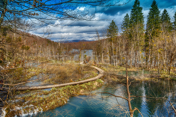 Erstaunlich Holz Weg sauber Frühling Stock foto © grafvision
