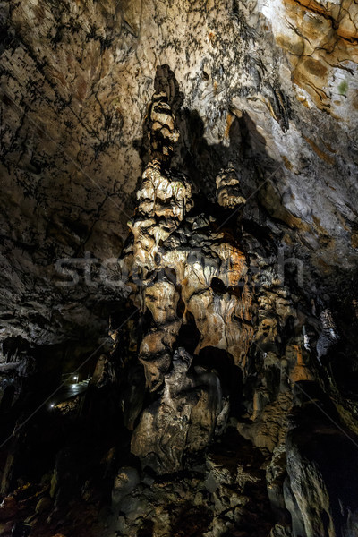 Dripstone column, stalagmite Stock photo © grafvision