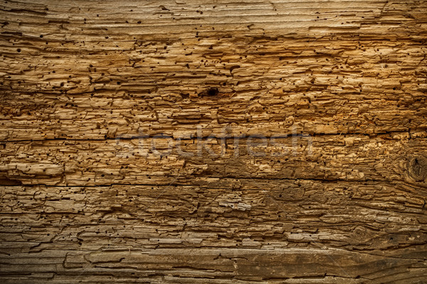 старое дерево треснувший текстуры древесины аннотация фон Сток-фото © grafvision