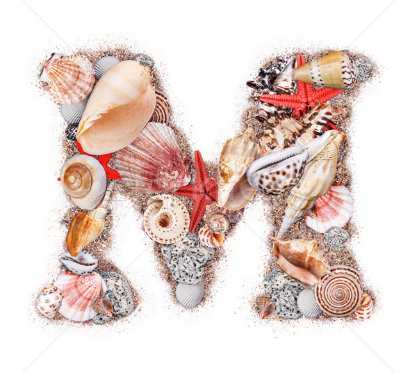 M betű kagyló izolált fehér óceán homok Stock fotó © grafvision