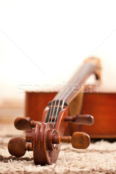 Clásico cello detalle blanco arte concierto Foto stock © grafvision