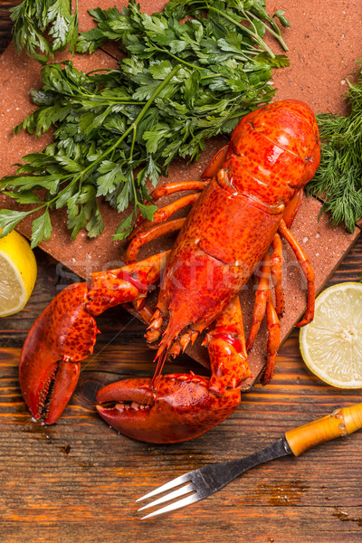 Lobster Stock photo © grafvision