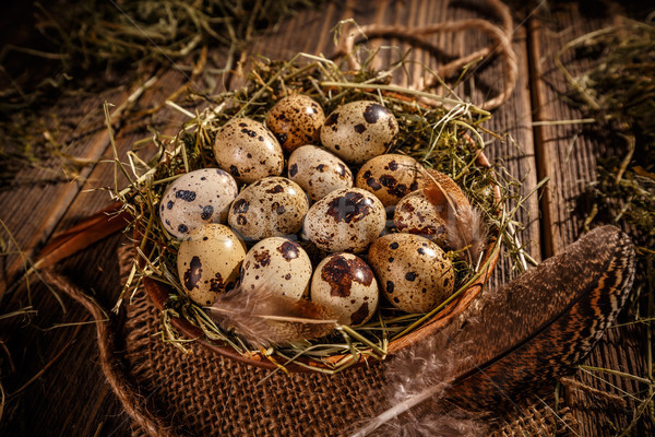 Quail eggs Stock photo © grafvision