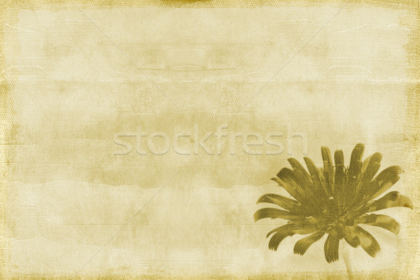 Papierstruktur floral Elemente Blumen abstrakten Hintergrund Stock foto © grafvision