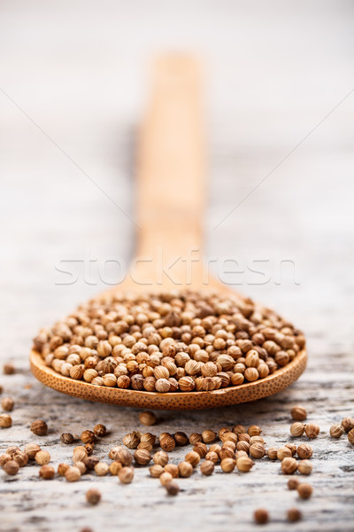 Stockfoto: Koriander · zaden · koken · vers · Spice