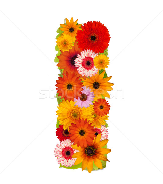 Virág levél ábécé izolált fehér i betű Stock fotó © grafvision