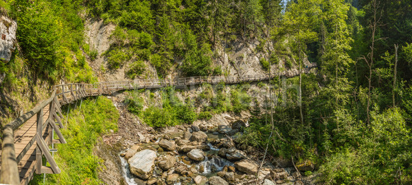 Wooden path Stock photo © grafvision