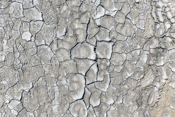 Cracked soil Stock photo © grafvision