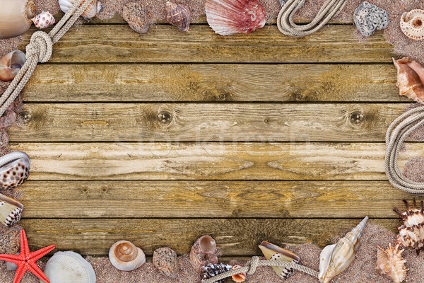 Frame of seashells Stock photo © grafvision