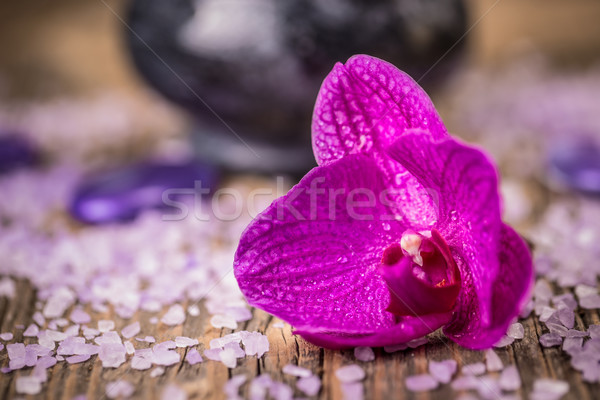 Orchid flower Stock photo © grafvision