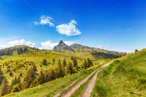 Berg roemeense landschap zomer reizen Stockfoto © grafvision
