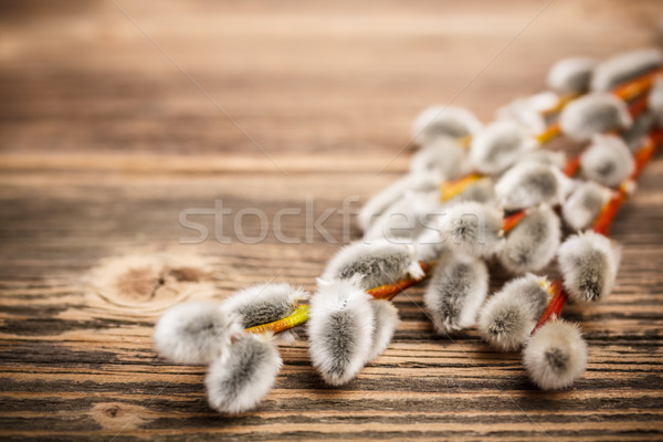 Păsărică salcie rustic floare Imagine de stoc © grafvision