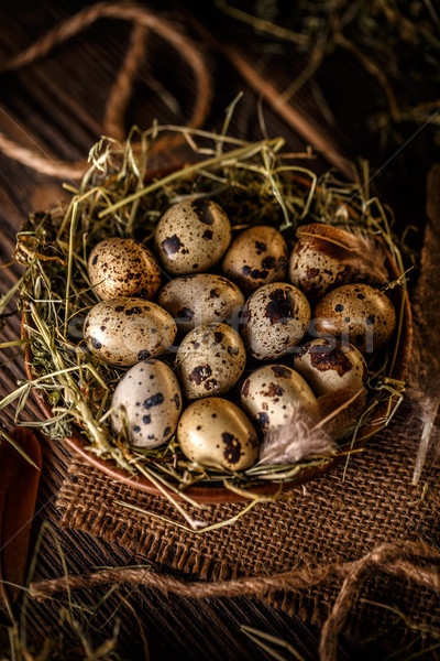 卵 乾草 巣 暗い 古い 木製 ストックフォト © grafvision