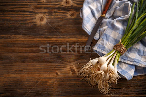 Haufen jungen grünen Knoblauch Blätter Raum Stock foto © grafvision