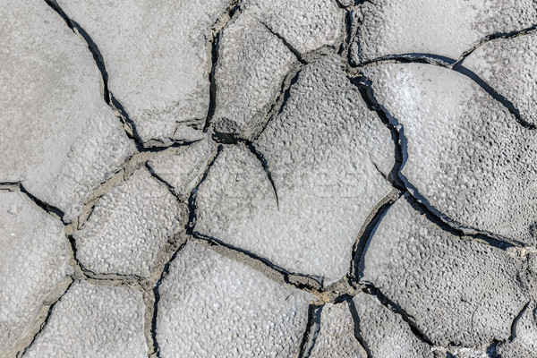 Dry cracked mud Stock photo © grafvision
