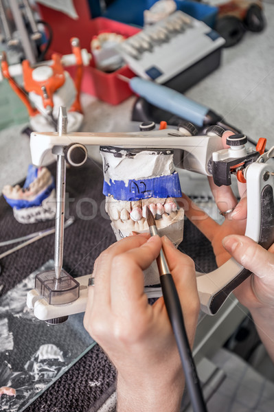 Dental technician  Stock photo © grafvision