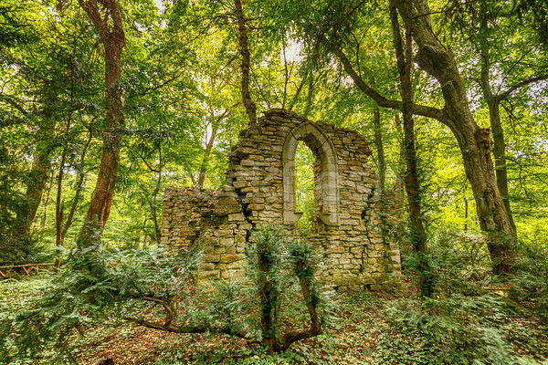 Starożytnych ruiny lasu kamień parku historii Zdjęcia stock © grafvision
