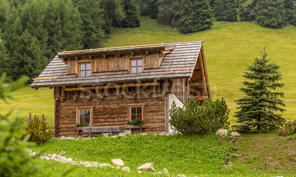 Alpin munţi vară casă pădure fundal Imagine de stoc © grafvision