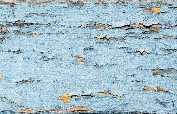 Wood background Stock photo © grafvision