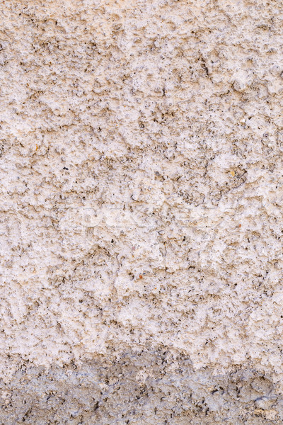 Rugged plaster wall Stock photo © grafvision