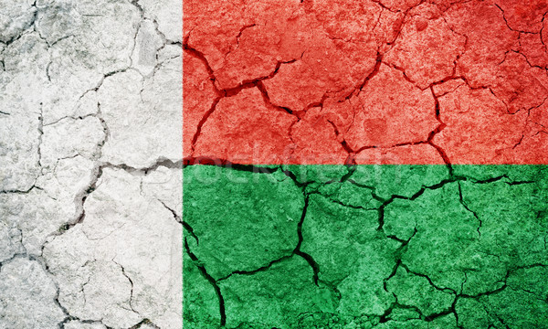 республика Мадагаскар флаг высушите земле землю Сток-фото © grafvision