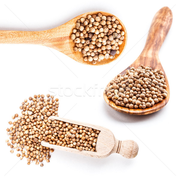 Coriander seeds Stock photo © grafvision