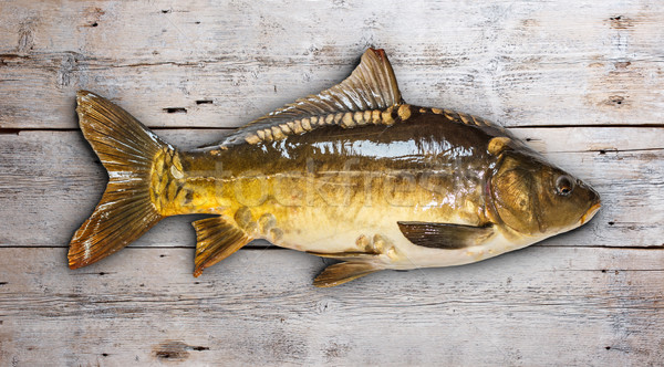 Carpa pesce vecchio legno alimentare industria Foto d'archivio © grafvision