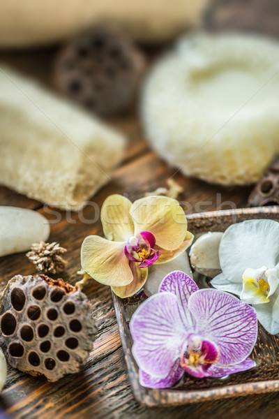 Stockfoto: Orchidee · bloemen · kom · water · natuur