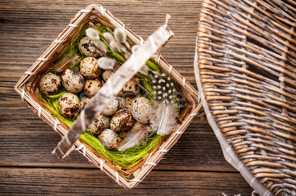 Quail eggs Stock photo © grafvision