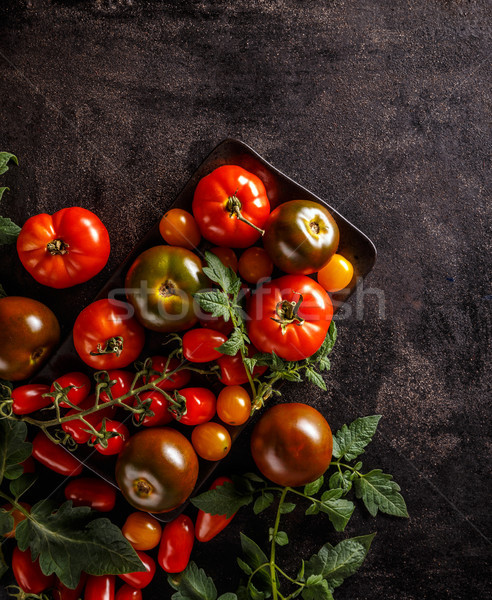 Fresh tomatoes Stock photo © grafvision