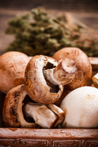 Comestível cogumelos fresco madeira saúde Foto stock © grafvision