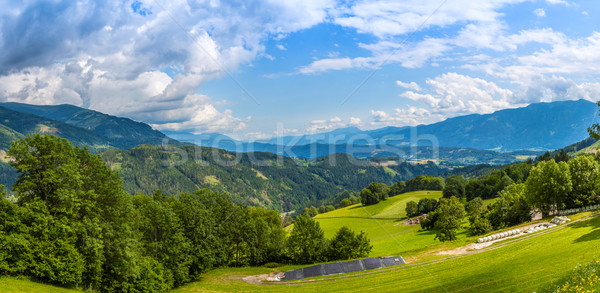 Mezőgazdasági legelő domboldal nyár idő erdő Stock fotó © grafvision