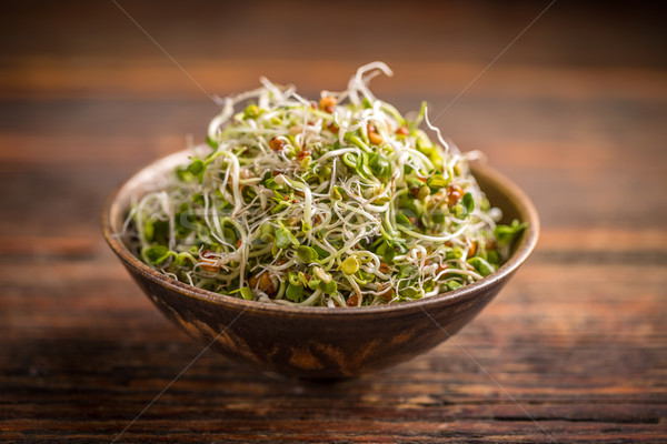 新鮮な 種子 ボウル 食品 緑 シード ストックフォト © grafvision