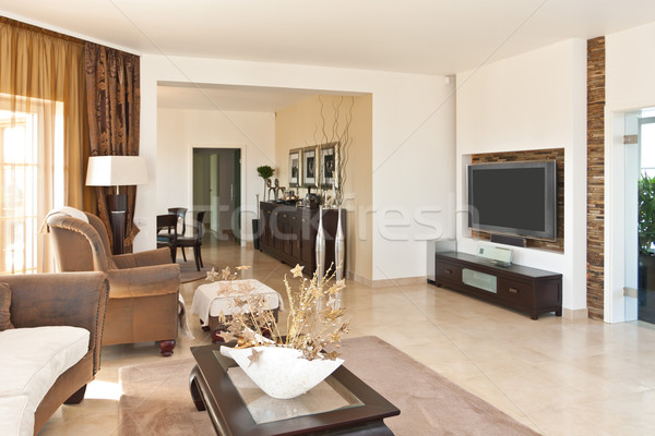 Wohnzimmer zeitgenössischen braun Holz Fernsehen Hotel Stock foto © grafvision