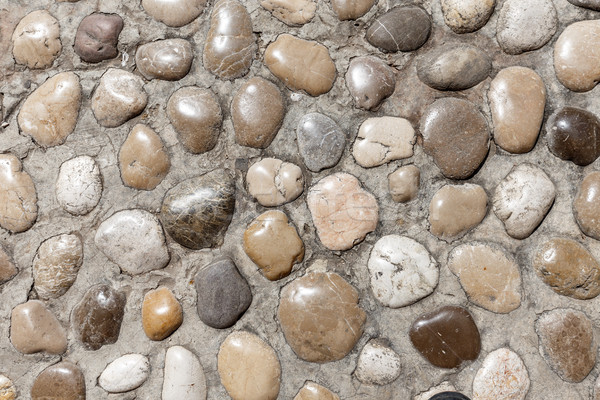 Round stones in concrete Stock photo © grafvision