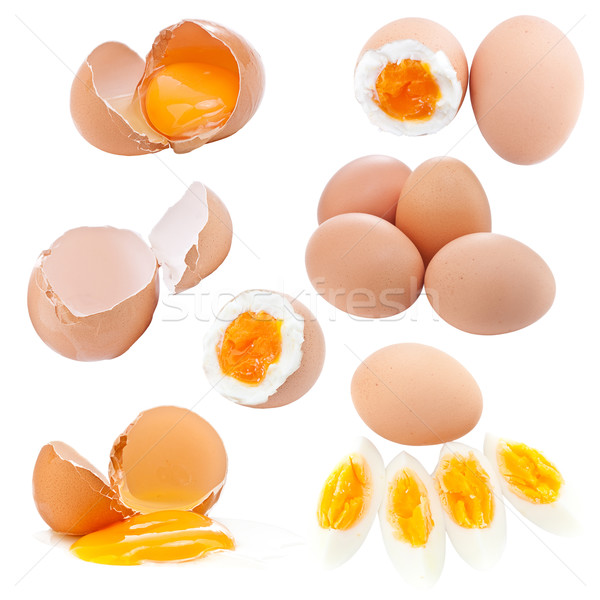 Stock photo: Egg collection 
