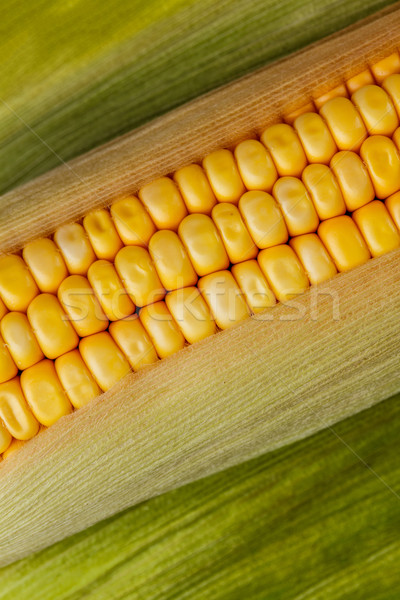 Maize cob Stock photo © grafvision