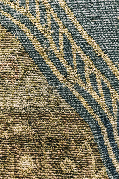 Tapestry textile pattern Stock photo © grafvision