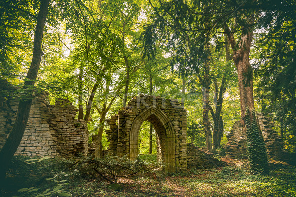 Old castle ruins Stock photo © grafvision
