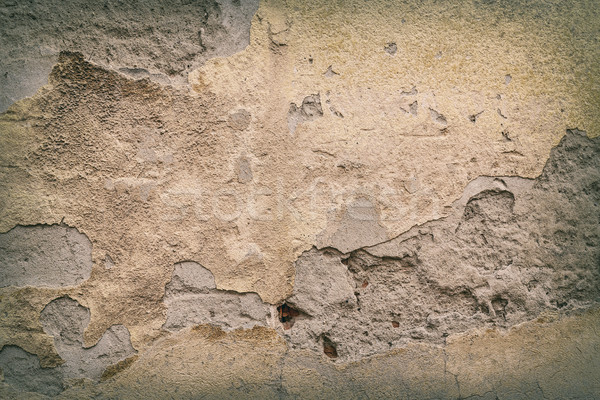 Old plaster wall Stock photo © grafvision