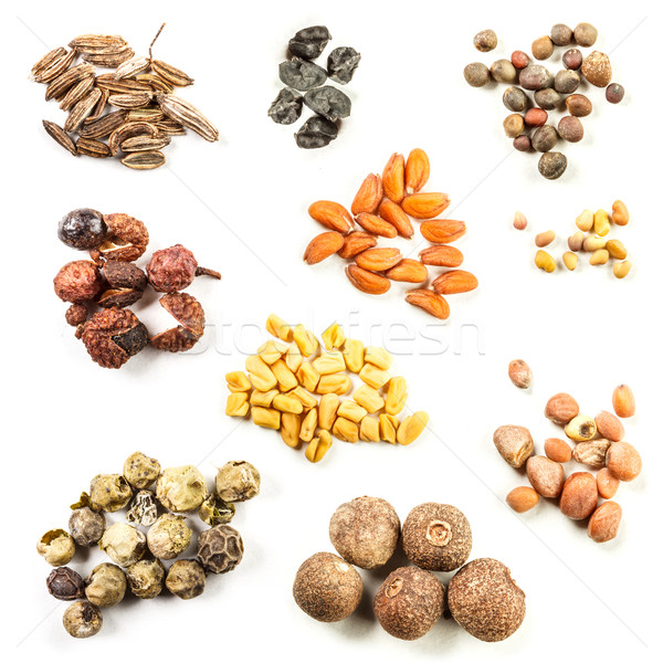 Stock photo: Collection of spice