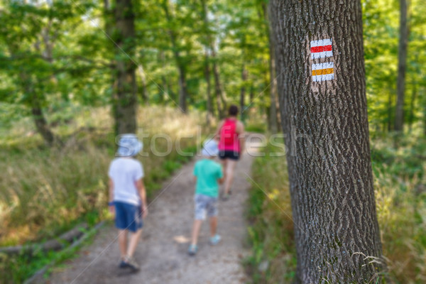 Touristic sign on tree Stock photo © grafvision