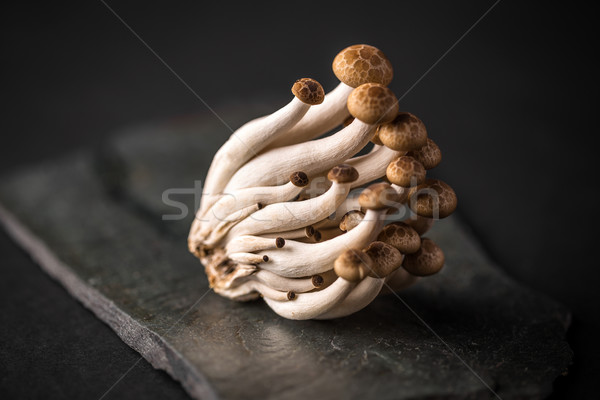 Fresh shimeji mushrooms  Stock photo © grafvision