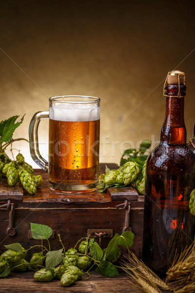 ストックフォト: 新鮮な · ビール · 静物 · ガラス · ボトル · 緑