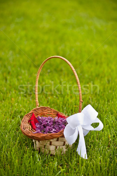 Liliowy płatki kwiat ślub trawy ramki Zdjęcia stock © grafvision