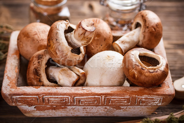 Brown champignons Stock photo © grafvision