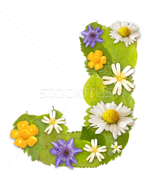 ストックフォト: 緑色の葉 · 花 · フォント · 白 · 手紙 · ツリー